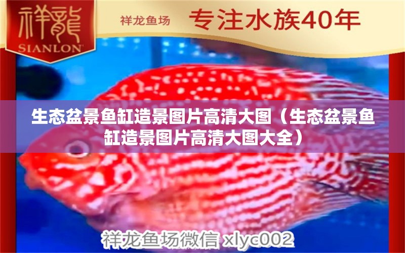 生態(tài)盆景魚缸造景圖片高清大圖（生態(tài)盆景魚缸造景圖片高清大圖大全）