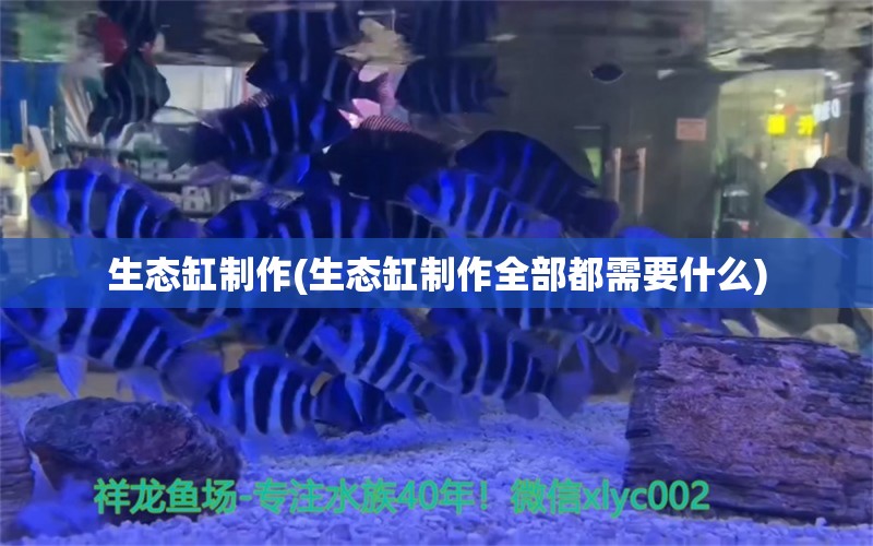 生態(tài)缸制作(生態(tài)缸制作全部都需要什么) 龍魚芯片掃碼器