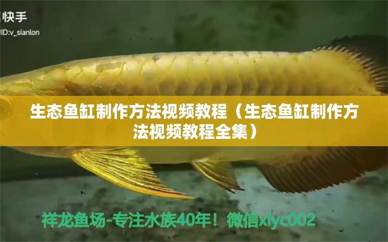 生態(tài)魚缸制作方法視頻教程（生態(tài)魚缸制作方法視頻教程全集） 觀賞魚市場（混養(yǎng)魚）