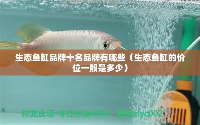 生態(tài)魚缸品牌十名品牌有哪些（生態(tài)魚缸的價(jià)位一般是多少）