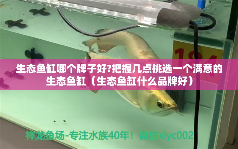 生態(tài)魚缸哪個牌子好?把握幾點挑選一個滿意的生態(tài)魚缸（生態(tài)魚缸什么品牌好）