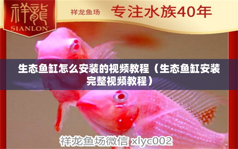 生態(tài)魚缸怎么安裝的視頻教程（生態(tài)魚缸安裝完整視頻教程）