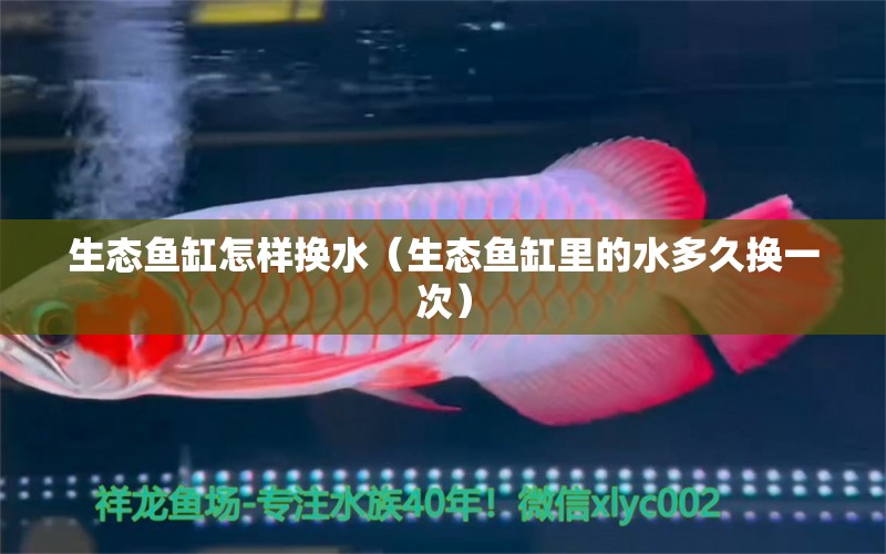 生態(tài)魚缸怎樣換水（生態(tài)魚缸里的水多久換一次）