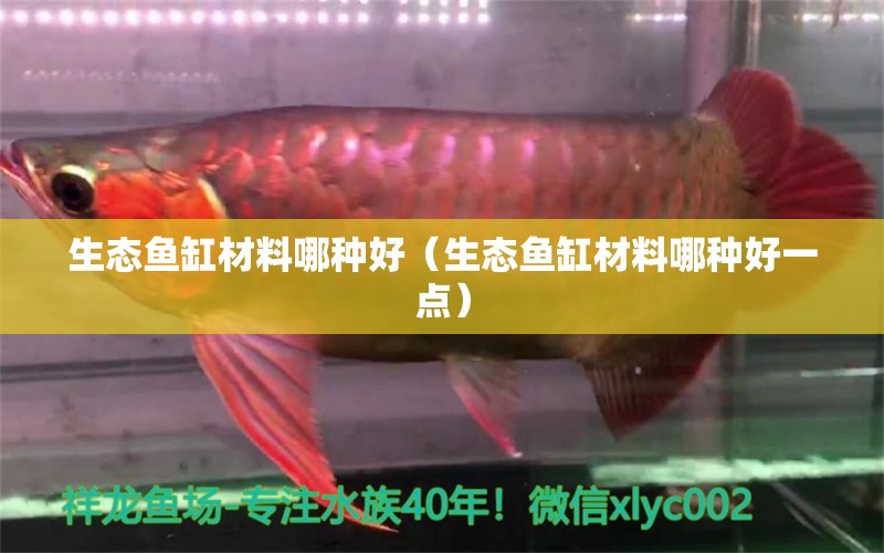 生態(tài)魚(yú)缸材料哪種好（生態(tài)魚(yú)缸材料哪種好一點(diǎn)） 一眉道人魚(yú)苗