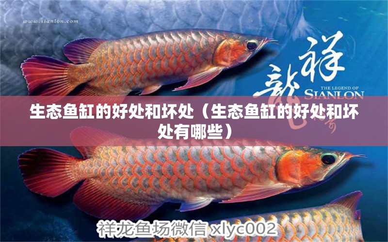 生態(tài)魚缸的好處和壞處（生態(tài)魚缸的好處和壞處有哪些） 祥龍水族醫(yī)院