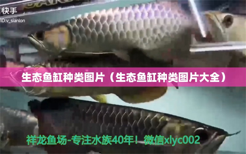 生態(tài)魚(yú)缸種類(lèi)圖片（生態(tài)魚(yú)缸種類(lèi)圖片大全）