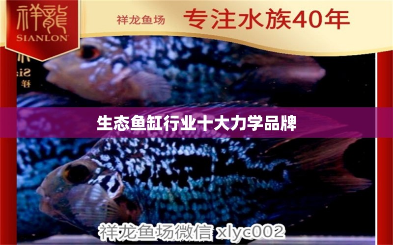 生態(tài)魚缸行業(yè)十大力學(xué)品牌 綠皮辣椒小紅龍