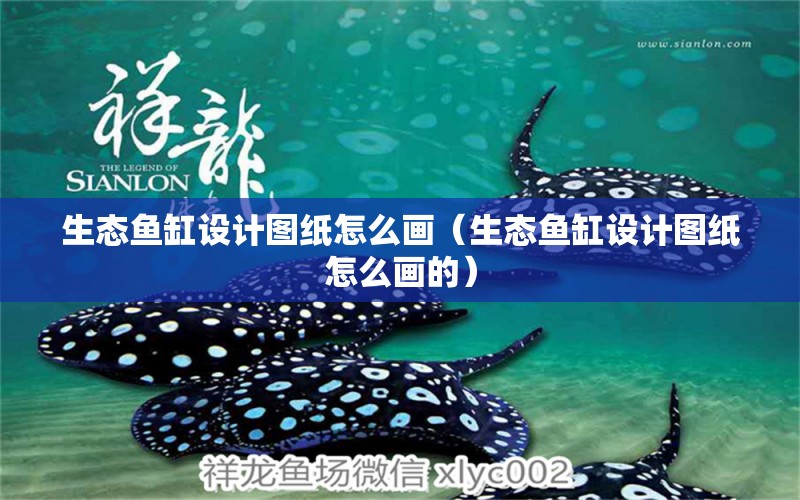 生態(tài)魚缸設計圖紙怎么畫（生態(tài)魚缸設計圖紙怎么畫的）