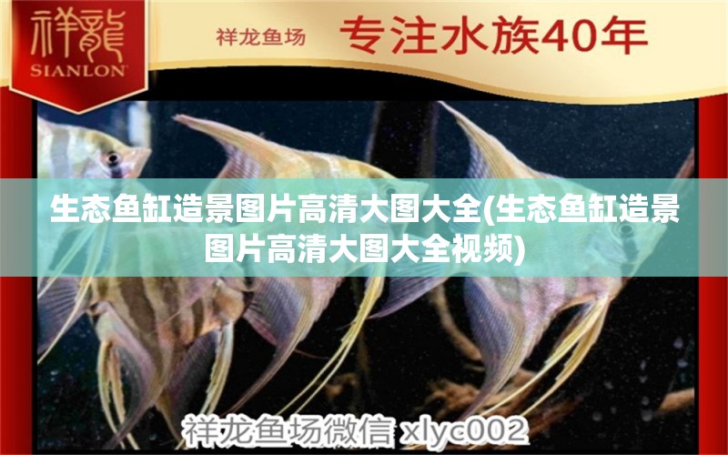 生態(tài)魚缸造景圖片高清大圖大全(生態(tài)魚缸造景圖片高清大圖大全視頻)