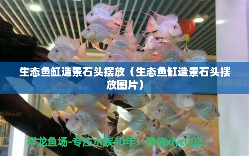 生態(tài)魚缸造景石頭擺放（生態(tài)魚缸造景石頭擺放圖片） 祥龍水族醫(yī)院