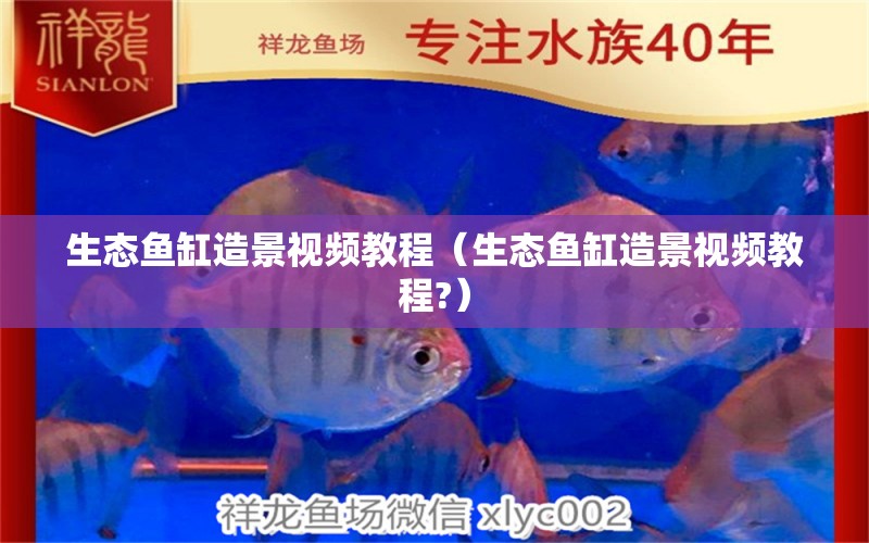 生態(tài)魚缸造景視頻教程（生態(tài)魚缸造景視頻教程?） 觀賞魚水族批發(fā)市場