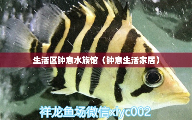 生活區(qū)鐘意水族館（鐘意生活家居） 全國水族館企業(yè)名錄