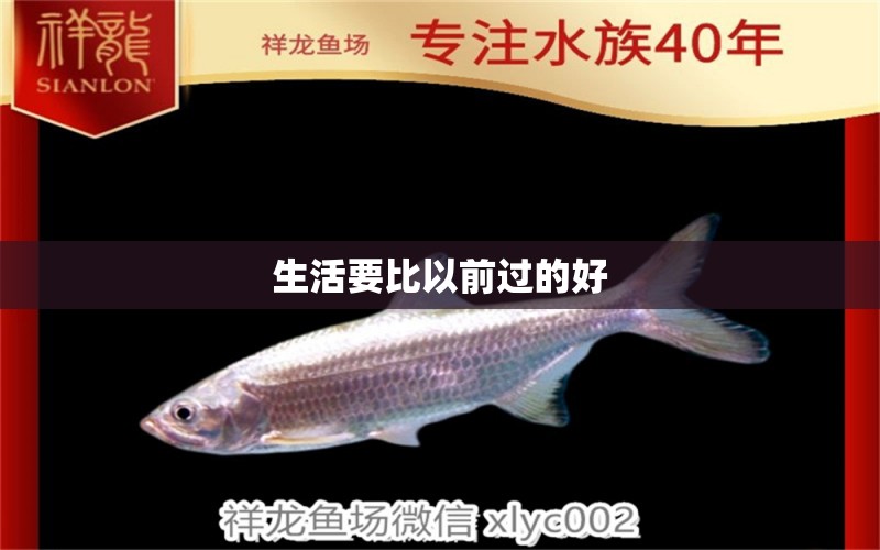 生活要比以前過的好 名貴錦鯉魚