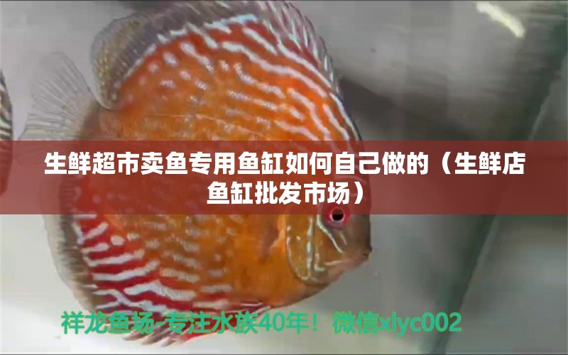 生鮮超市賣魚專用魚缸如何自己做的（生鮮店魚缸批發(fā)市場(chǎng)）