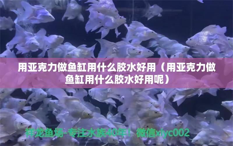 用亞克力做魚缸用什么膠水好用（用亞克力做魚缸用什么膠水好用呢）