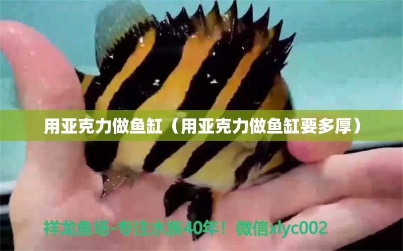 用亞克力做魚缸（用亞克力做魚缸要多厚） 其他品牌魚缸