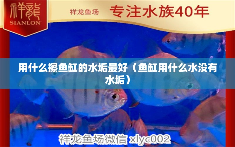 用什么擦魚缸的水垢最好（魚缸用什么水沒有水垢） 養(yǎng)魚知識 第1張