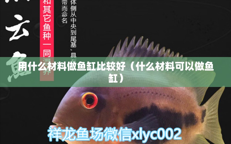 用什么材料做魚(yú)缸比較好（什么材料可以做魚(yú)缸）