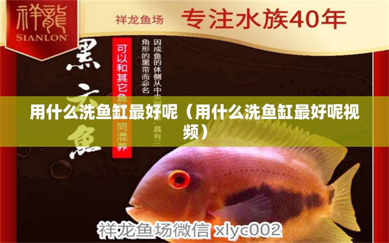 用什么洗魚缸最好呢（用什么洗魚缸最好呢視頻）