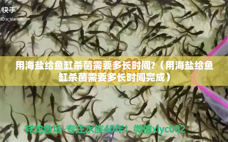 用海鹽給魚(yú)缸殺菌需要多長(zhǎng)時(shí)間?（用海鹽給魚(yú)缸殺菌需要多長(zhǎng)時(shí)間完成）