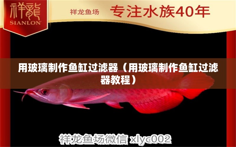 用玻璃制作魚缸過濾器（用玻璃制作魚缸過濾器教程）