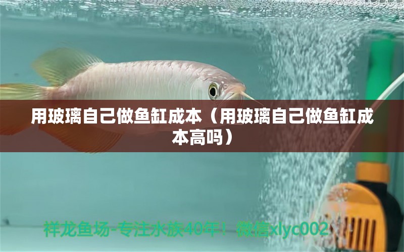 用玻璃自己做魚缸成本（用玻璃自己做魚缸成本高嗎）