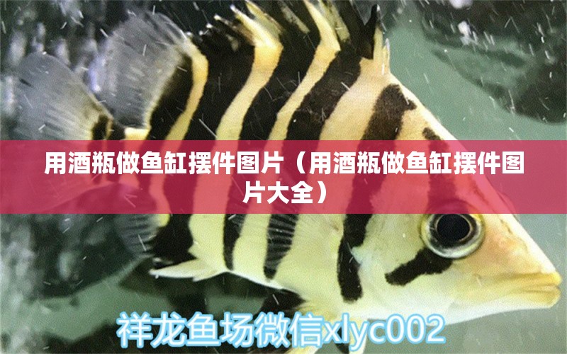 用酒瓶做魚(yú)缸擺件圖片（用酒瓶做魚(yú)缸擺件圖片大全）