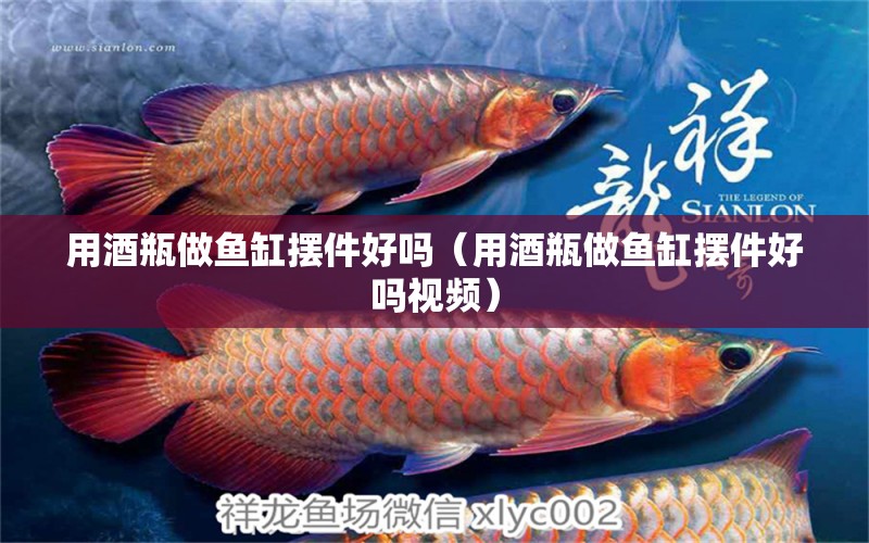 用酒瓶做魚缸擺件好嗎（用酒瓶做魚缸擺件好嗎視頻） 觀賞魚水族批發(fā)市場