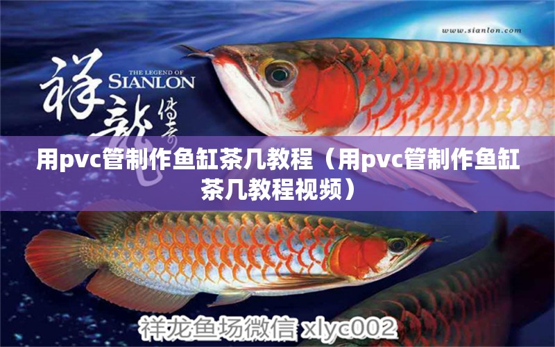 用pvc管制作魚缸茶幾教程（用pvc管制作魚缸茶幾教程視頻）