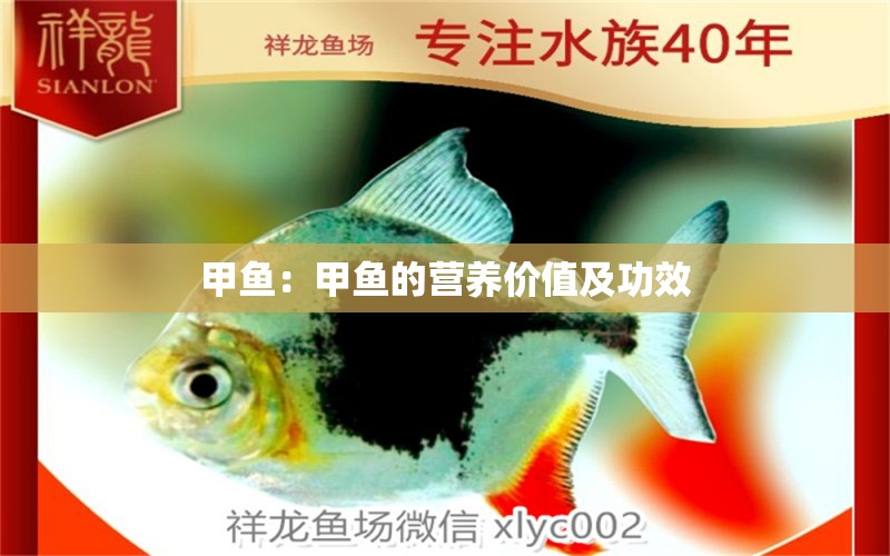 甲魚：甲魚的營(yíng)養(yǎng)價(jià)值及功效