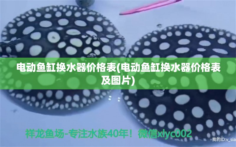 電動(dòng)魚缸換水器價(jià)格表(電動(dòng)魚缸換水器價(jià)格表及圖片)