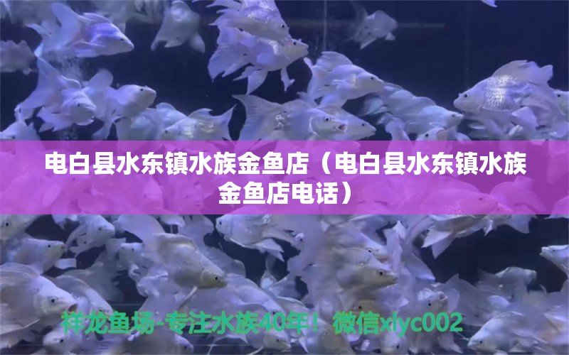 電白縣水東鎮(zhèn)水族金魚(yú)店（電白縣水東鎮(zhèn)水族金魚(yú)店電話） 全國(guó)水族館企業(yè)名錄