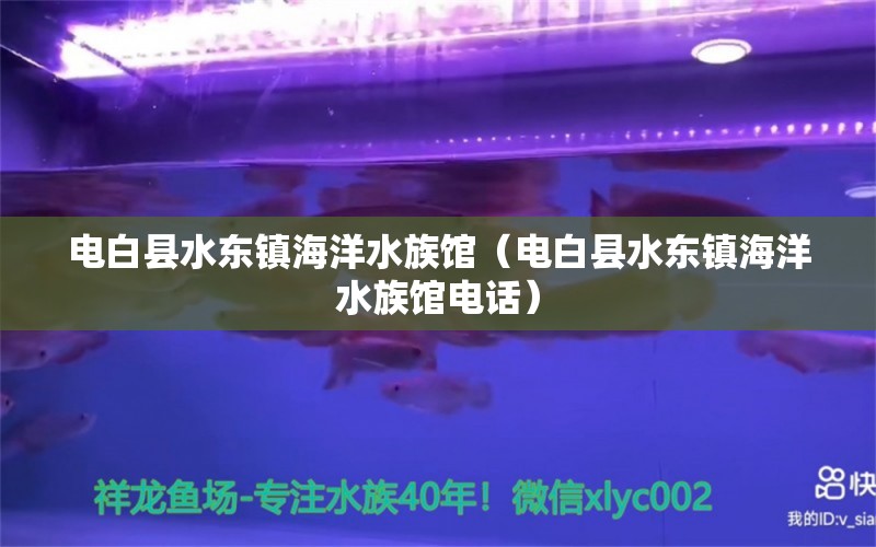 電白縣水東鎮(zhèn)海洋水族館（電白縣水東鎮(zhèn)海洋水族館電話） 全國水族館企業(yè)名錄