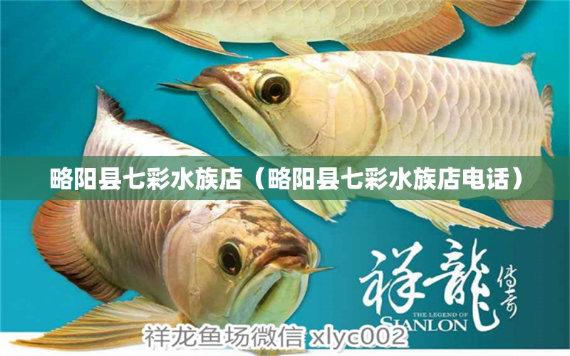 略陽縣七彩水族店（略陽縣七彩水族店電話）