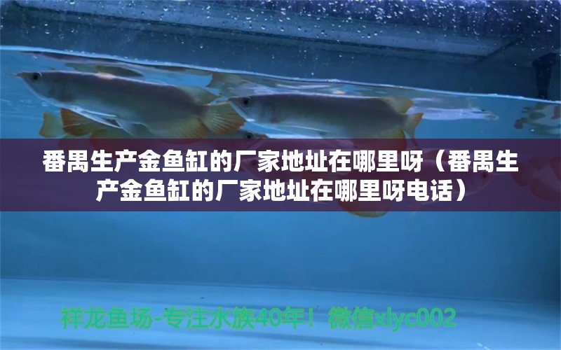 番禺生產(chǎn)金魚(yú)缸的廠家地址在哪里呀（番禺生產(chǎn)金魚(yú)缸的廠家地址在哪里呀電話）