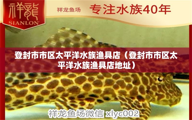 登封市市區(qū)太平洋水族漁具店（登封市市區(qū)太平洋水族漁具店地址）