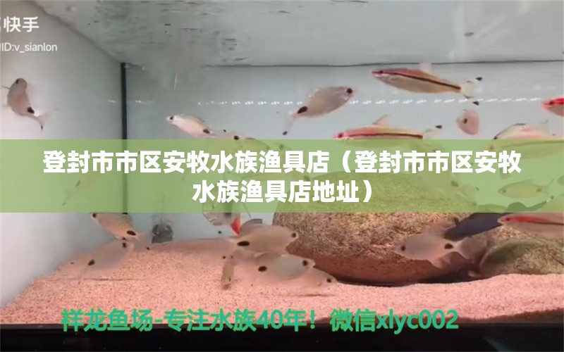 登封市市區(qū)安牧水族漁具店（登封市市區(qū)安牧水族漁具店地址）