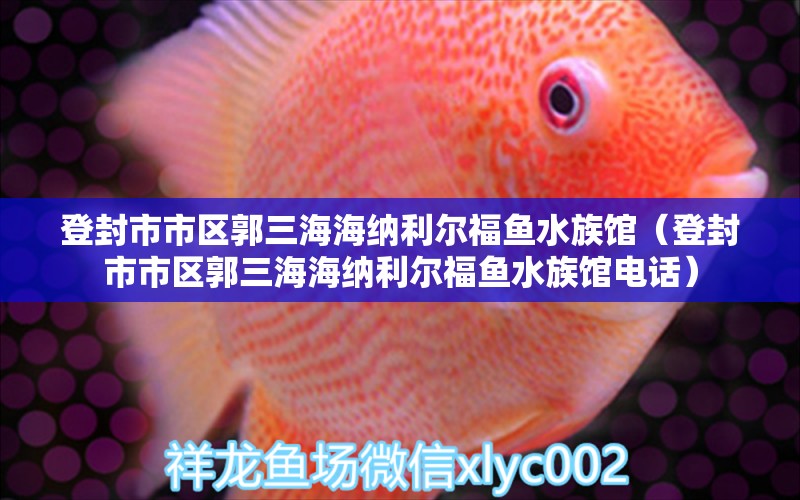 登封市市區(qū)郭三海海納利爾福魚水族館（登封市市區(qū)郭三海海納利爾福魚水族館電話）