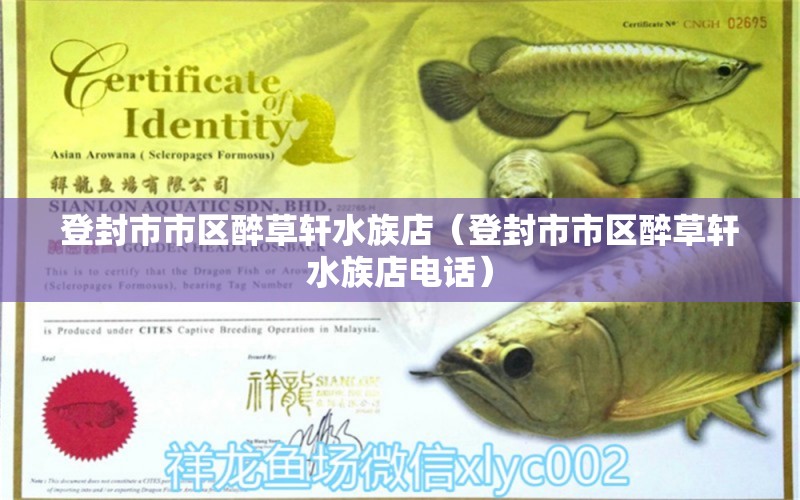 登封市市區(qū)醉草軒水族店（登封市市區(qū)醉草軒水族店電話） 全國水族館企業(yè)名錄