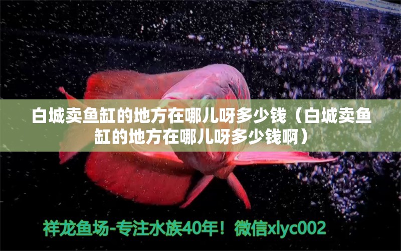 白城賣魚缸的地方在哪兒呀多少錢（白城賣魚缸的地方在哪兒呀多少錢?。? title=