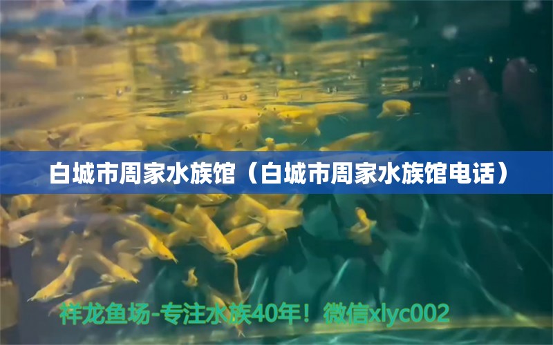 白城市周家水族館（白城市周家水族館電話）