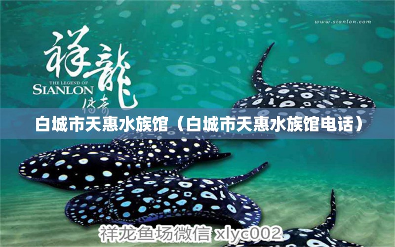 白城市天惠水族館（白城市天惠水族館電話） 全國(guó)水族館企業(yè)名錄