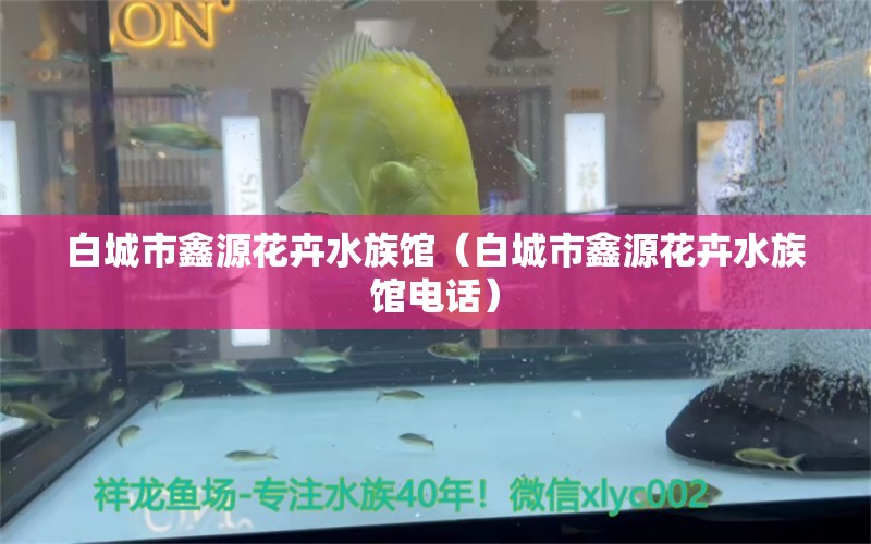 白城市鑫源花卉水族館（白城市鑫源花卉水族館電話）