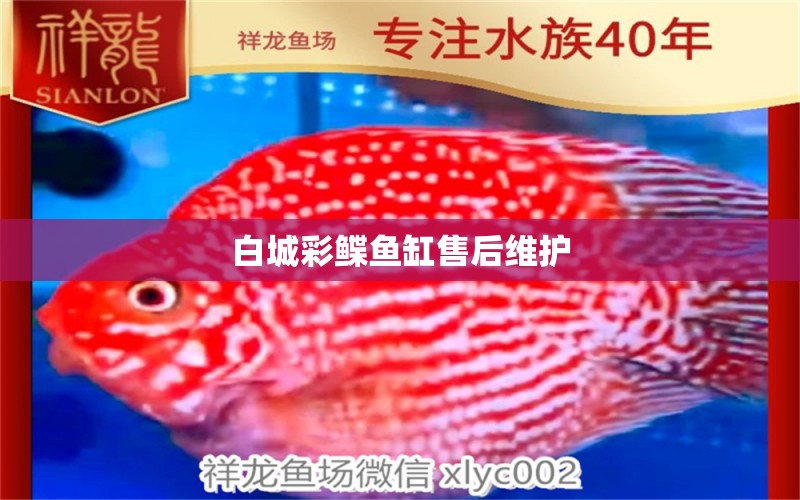 白城彩鰈魚缸售后維護(hù)