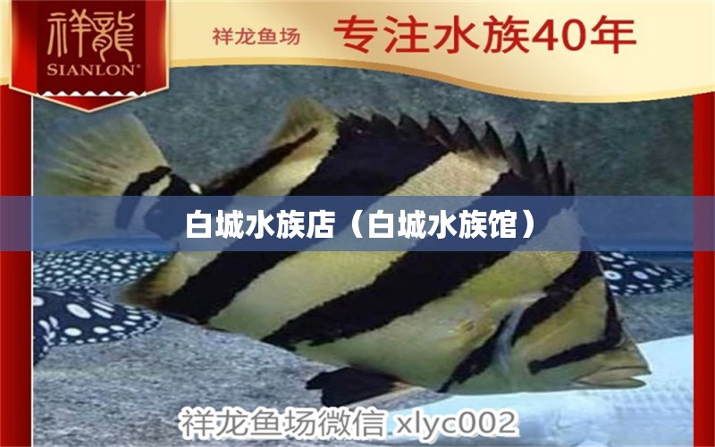 白城水族店（白城水族館） 觀賞魚市場(chǎng)