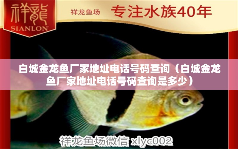 白城金龍魚廠家地址電話號(hào)碼查詢（白城金龍魚廠家地址電話號(hào)碼查詢是多少） 祥龍水族醫(yī)院