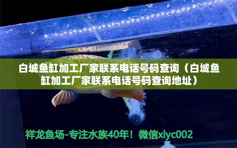 白城魚缸加工廠家聯(lián)系電話號碼查詢（白城魚缸加工廠家聯(lián)系電話號碼查詢地址）