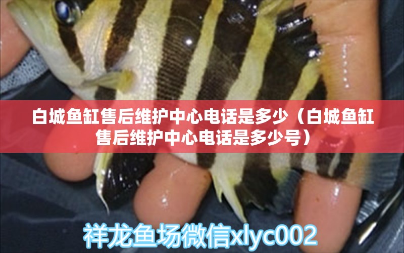 白城魚缸售后維護(hù)中心電話是多少（白城魚缸售后維護(hù)中心電話是多少號(hào)）