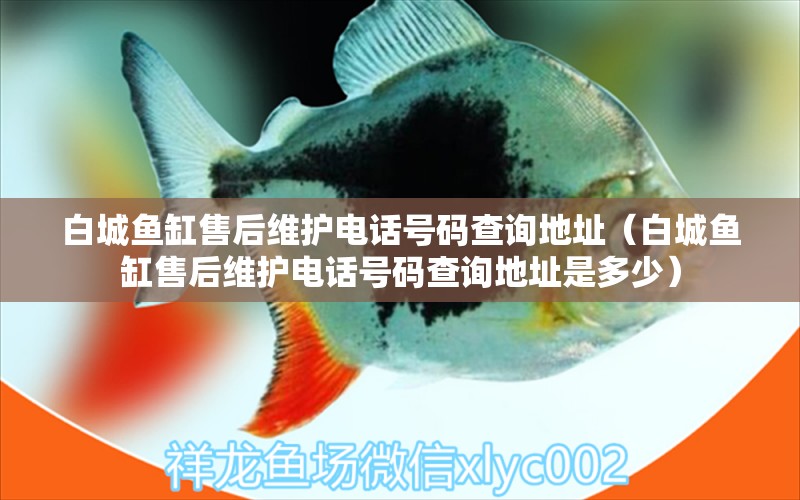 白城魚缸售后維護電話號碼查詢地址（白城魚缸售后維護電話號碼查詢地址是多少） 其他品牌魚缸