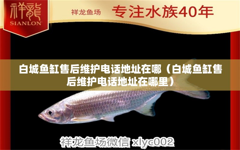 白城魚缸售后維護(hù)電話地址在哪（白城魚缸售后維護(hù)電話地址在哪里）